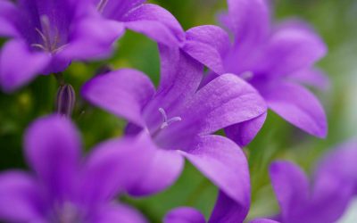 the big unpack begins