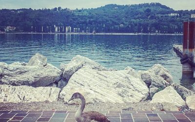 salò : lombardy : italy