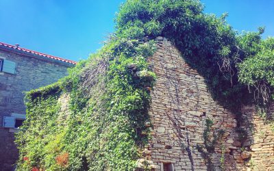 our little abandoned house of istria…