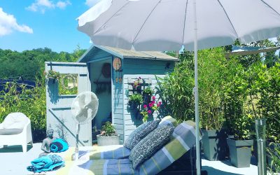 garden reno : update 6