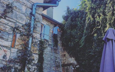 garden reno : update 7