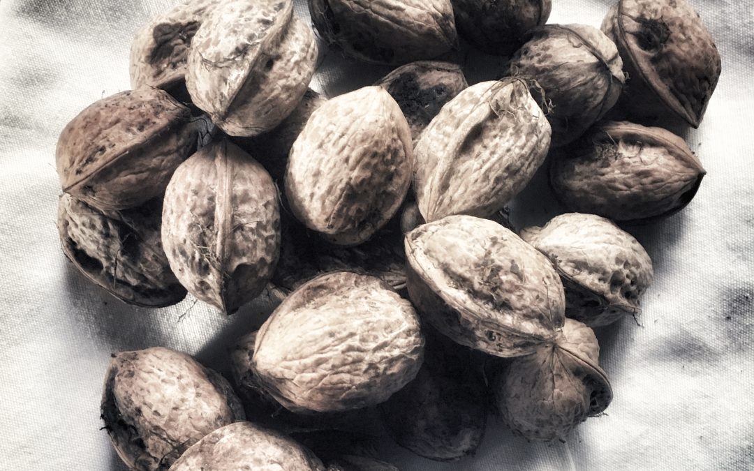 walnut pesto…