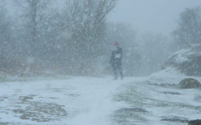 brimham rocks : north yorkshire