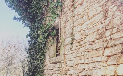 secret garden reno : update 1