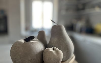 kitchen reno : update 8