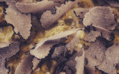 medica agroturizam : medici : istria