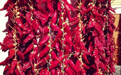 tropea : calabria : italy