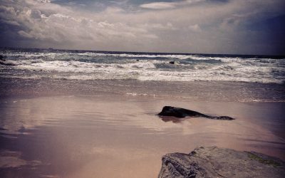 tarifa : andalucia : spain