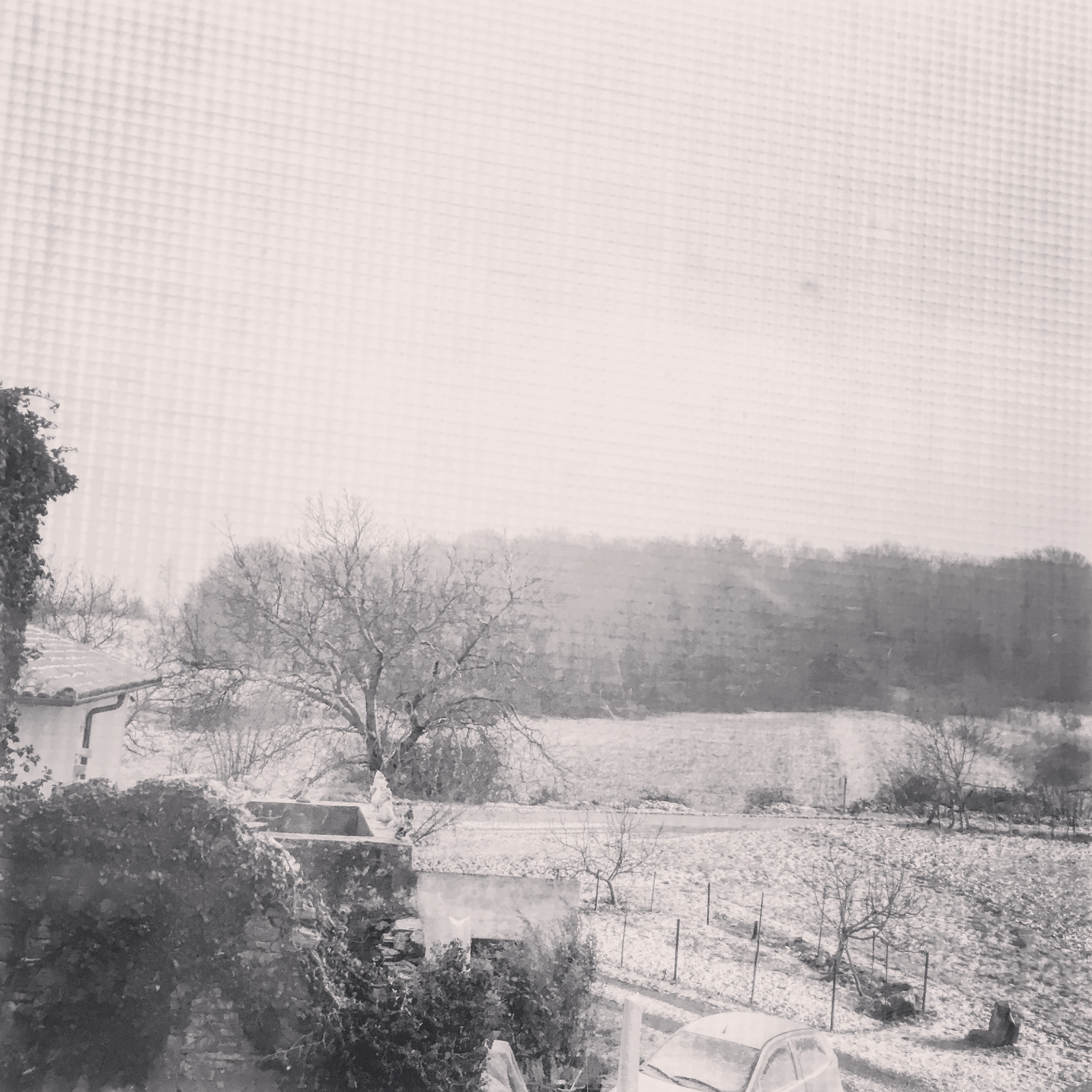 View from front bedroom window as the snow is starting to fall.