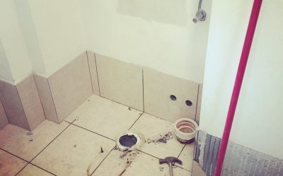 downstairs bathroom reno : update 1