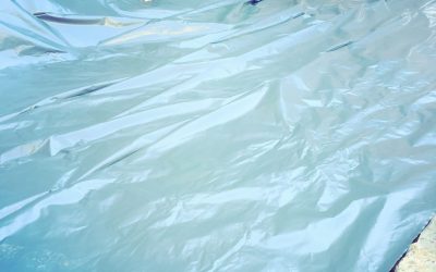 garden reno : update 1