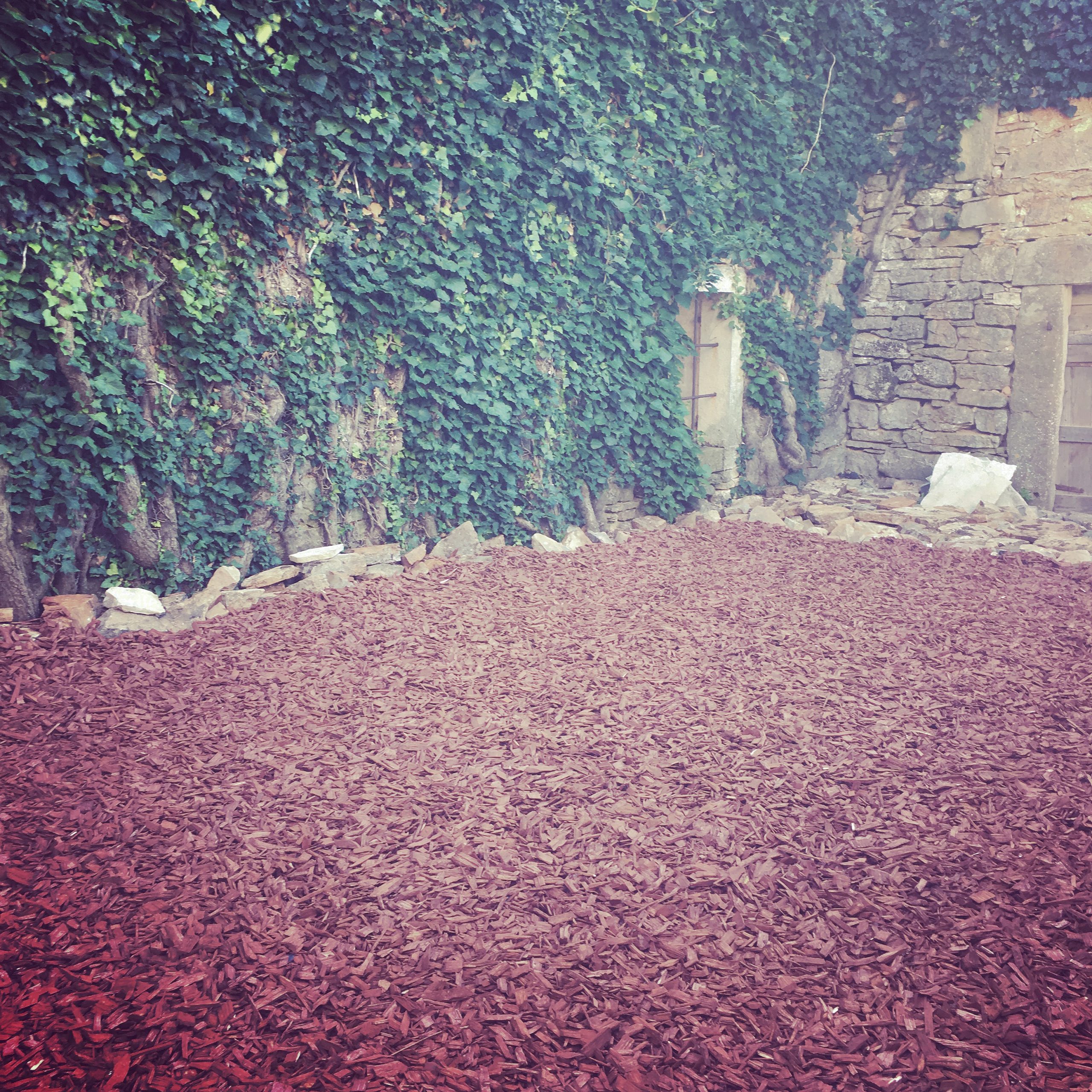 The AFTER shot, covered in dark red bark chippings...