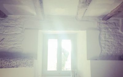 the snug reno : update 1