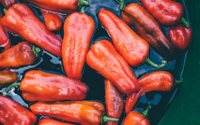 creamy roasted pepper soup