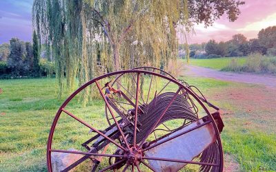 b&b maison d’hôte mas d’eymard : arles : france