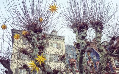 strasbourg : the capital of christmas