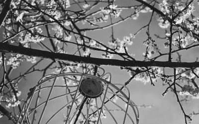 the start of spring 2024